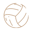 Voleibol